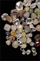 The worlds`s most dazzling diamonds......zeigt das Natural History Museum in London eine Ausstellung über Diamanten...Schliff, Historie,schöne grosse Diamanten, Design und herrlicher Schmuck werden gezeigt
