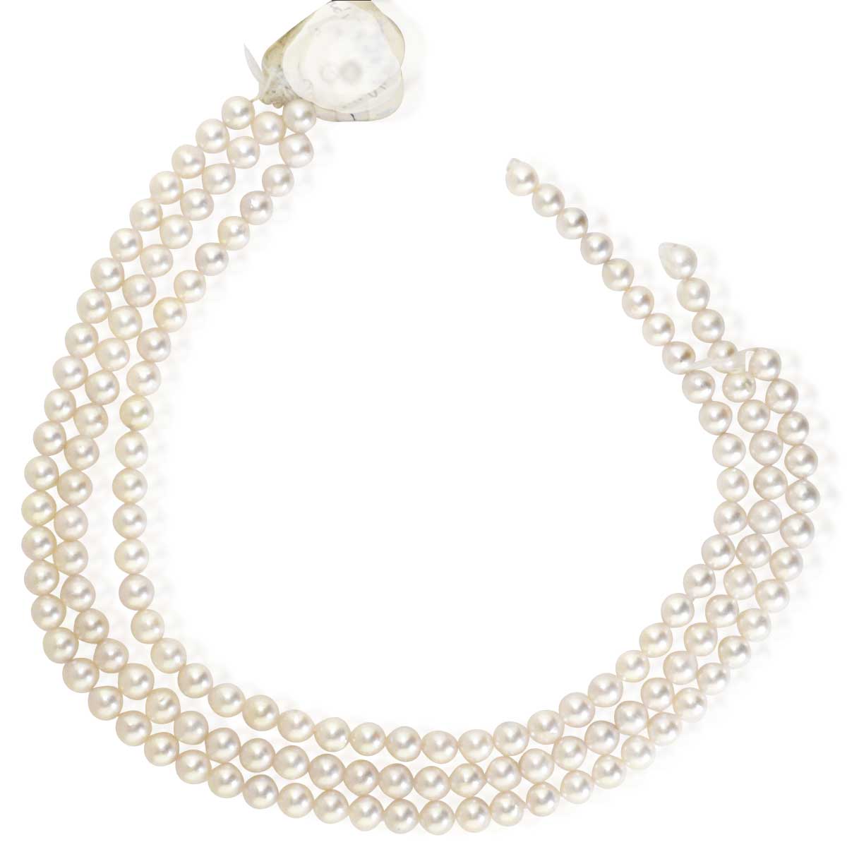 147 Akoja Perlen | 8,1mm  - Perlenschnüre für Perlencollier
